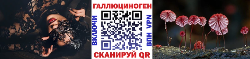 цены наркотик  Жуков  Псилоцибиновые грибы GOLDEN TEACHER 
